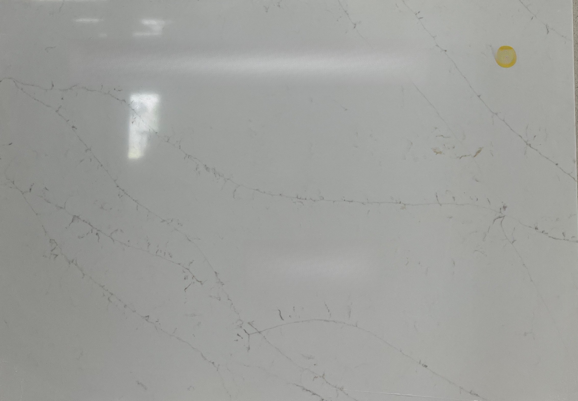 Calacatta Delios Quartz, 51" x 35"