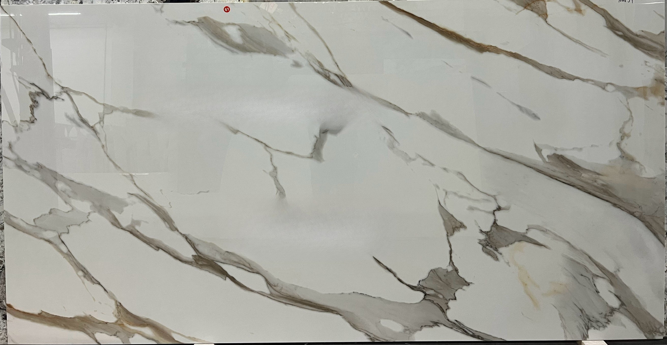 Porcelain, 106" x 54"