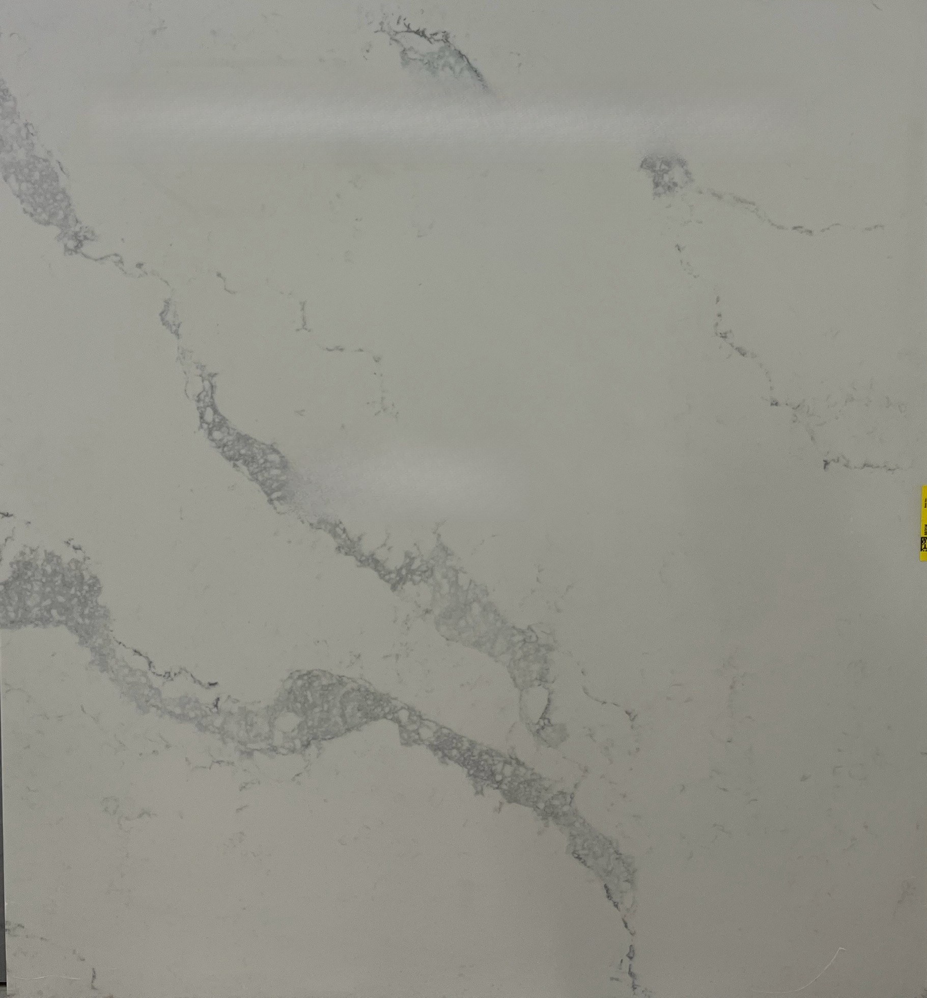 5031H Statuario Maximus, 51" x 55"