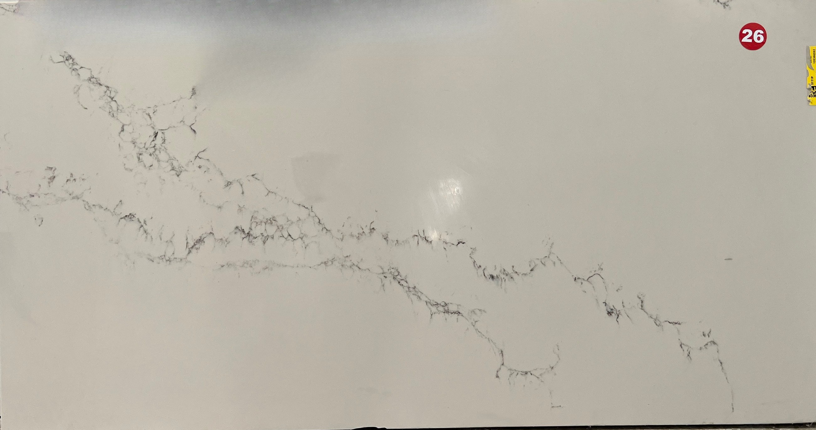 5111P/Statuario Nuevo, 58" x 30"