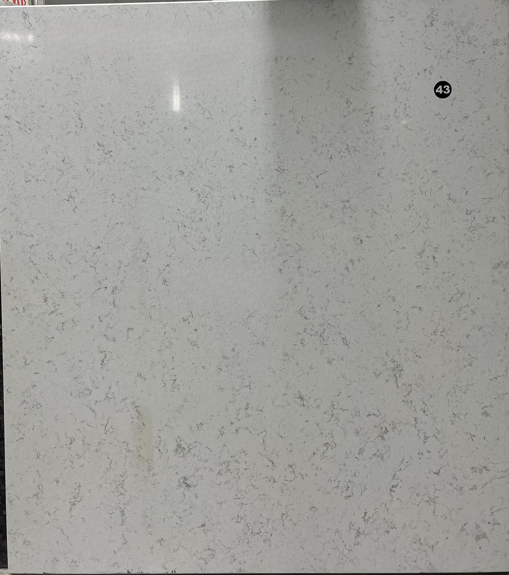 Bianca Statuararietto Quartz, 57" x 65"