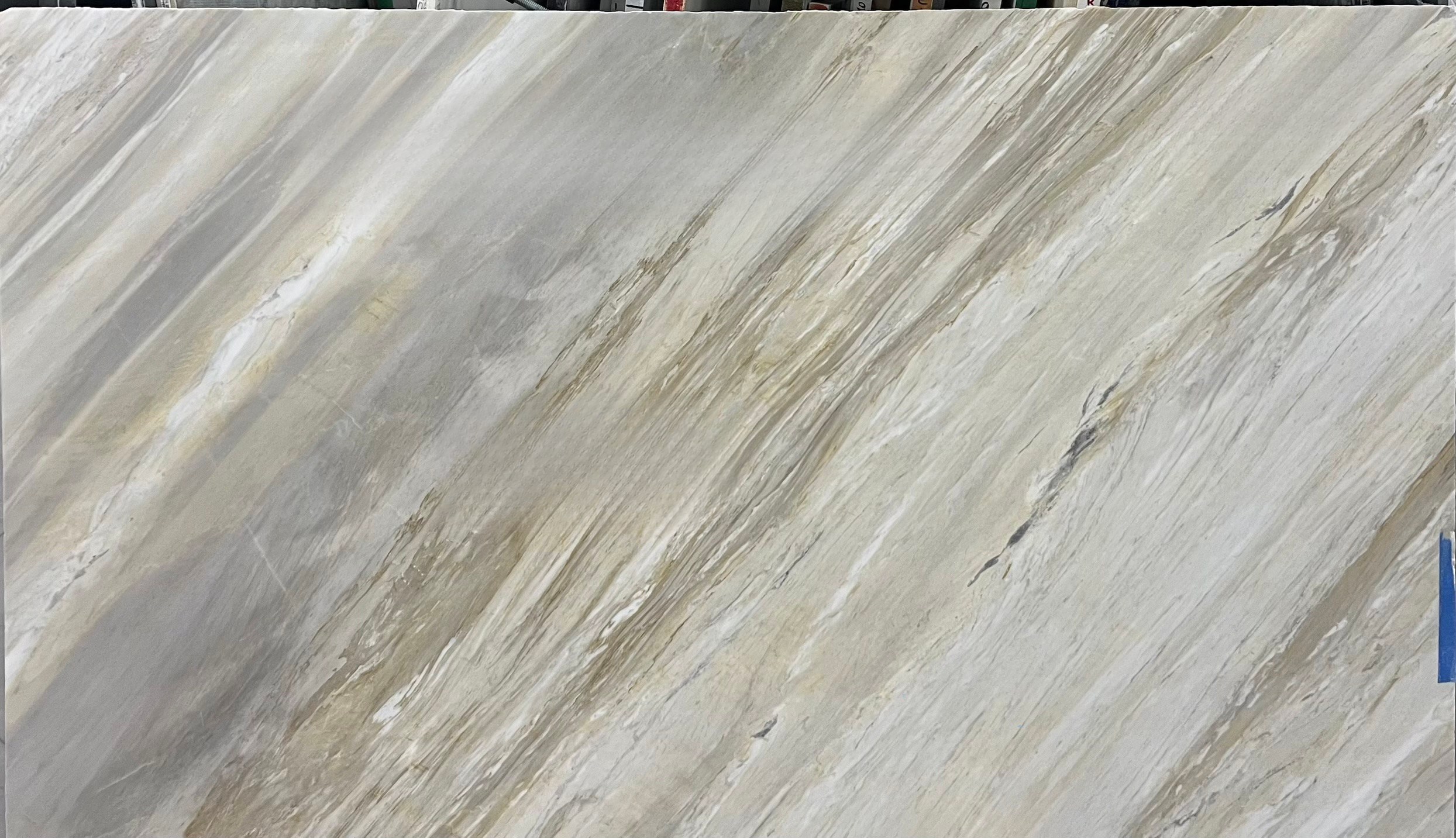 Lord White Polish, 73" x 43"