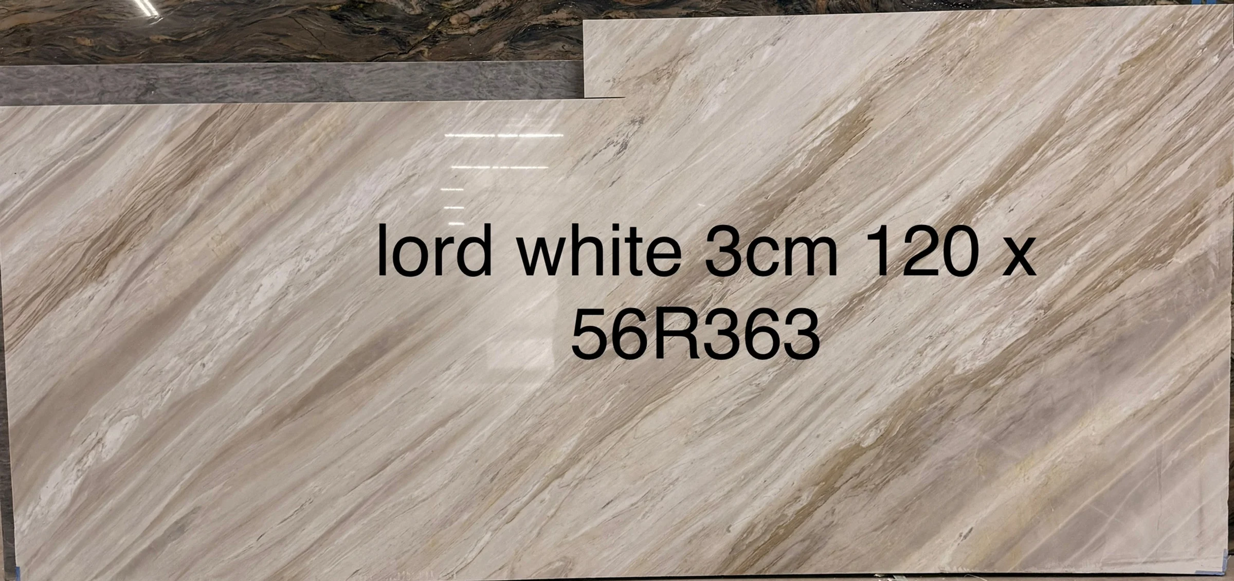 Lord White, 56" x 120"