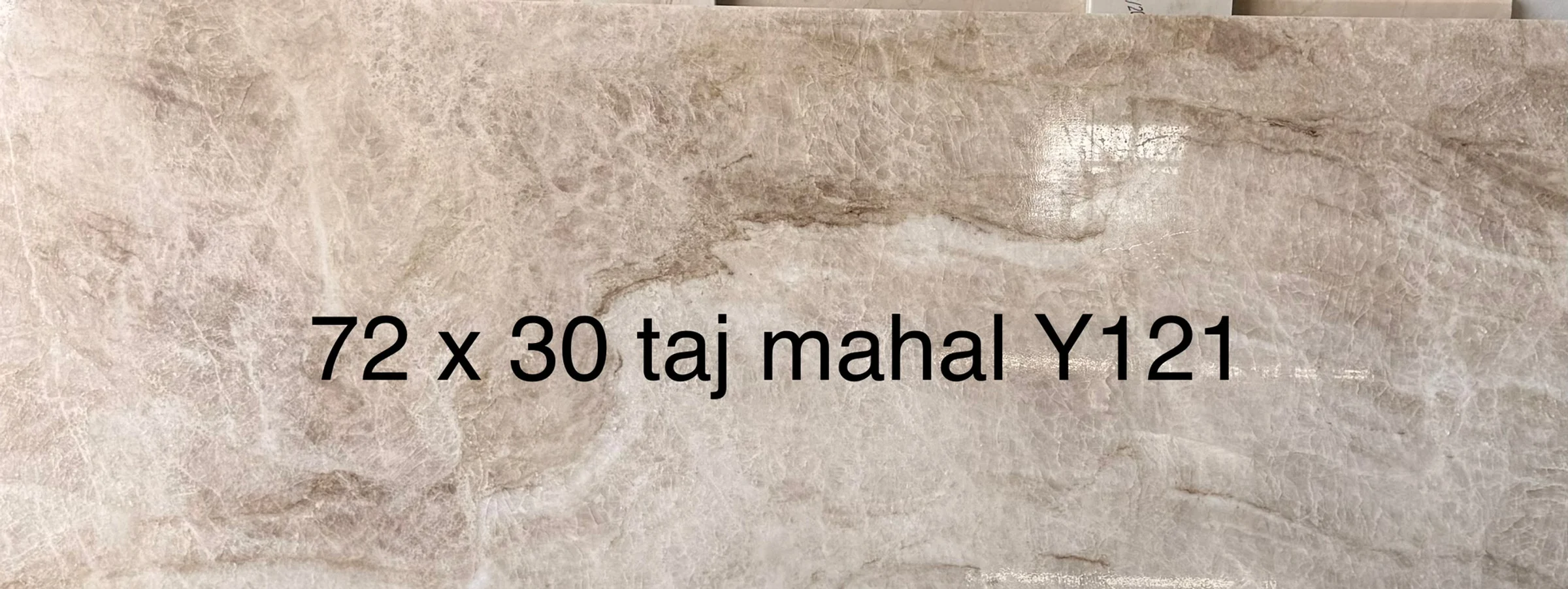 Taj Mahal, 30" x 72"